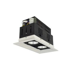 LED Double Downlight – PQ-DWL2